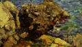 Камень на Чеховском пляже в Гурзуфе